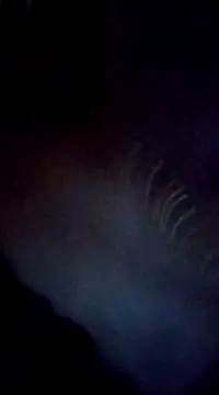 petiteDollface online show from January 25, 2025, 2:36 pm