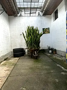 oliver price1 online show from October 27, 2025, 7:26 pm