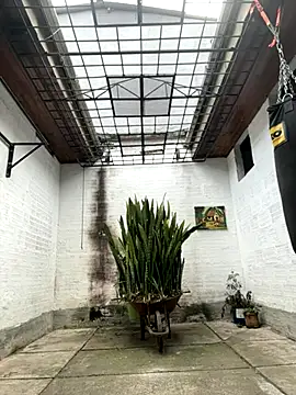 oliver price1 online show from September 26, 2025, 6:59 pm