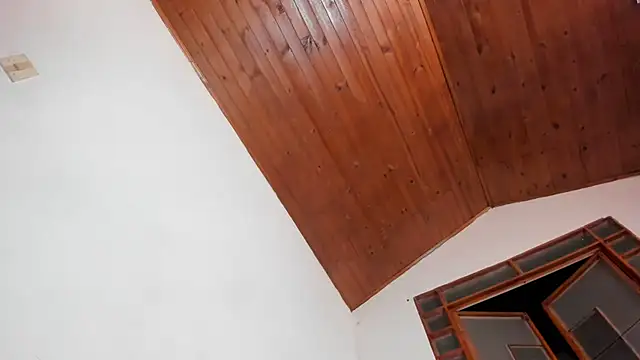 oliver price1 online show from February 17, 2026, 2:53 am