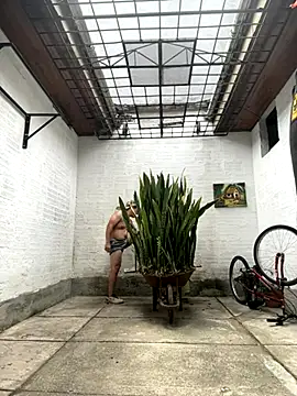 oliver price1 online show from October 8, 2025, 4:29 pm