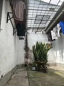 oliver price1 online show from September 15, 2025, 3:23 pm