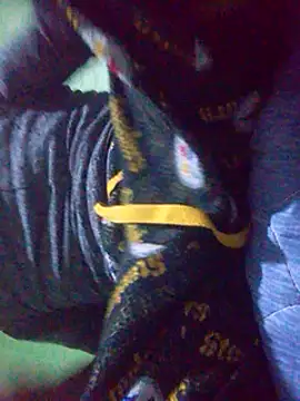 Snapshot of Elcogetuquieres chatting on February 8, 2025, 6:33 am Elcogetuquieres online show from February 8, 2025, 6:33 am